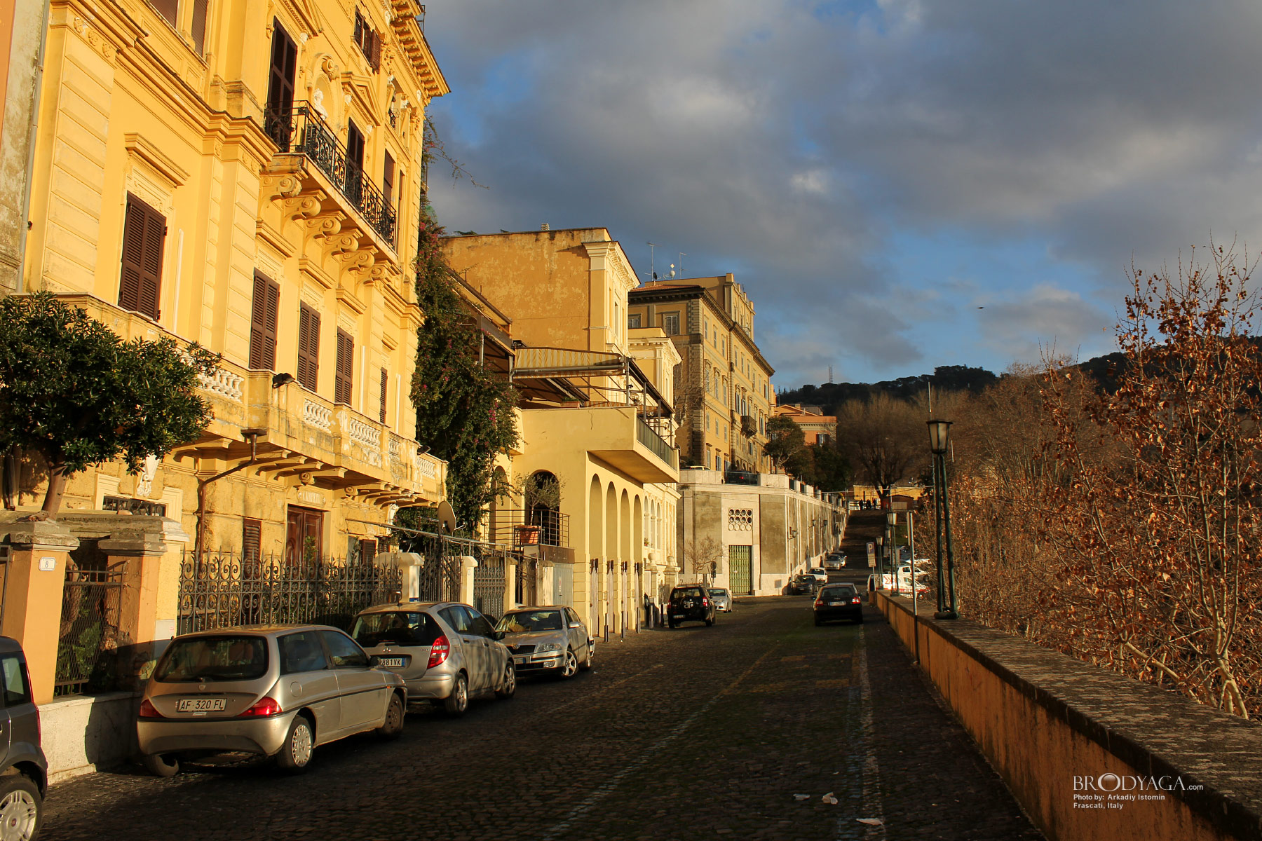 Frascati